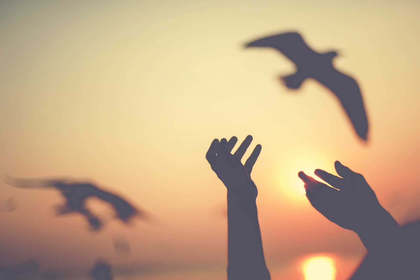 Compassionate end of life care at home